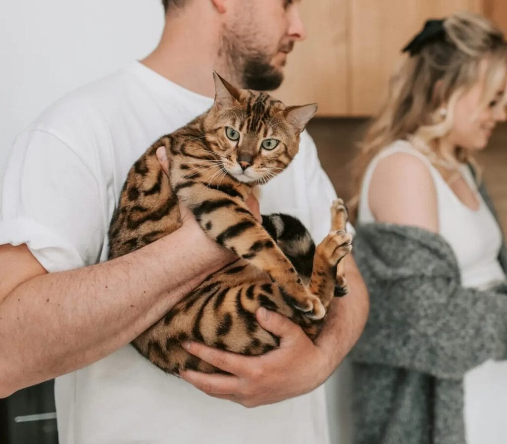 A man holding a Bengal cat while a woman slices fruits in a cozy kitchen setting.