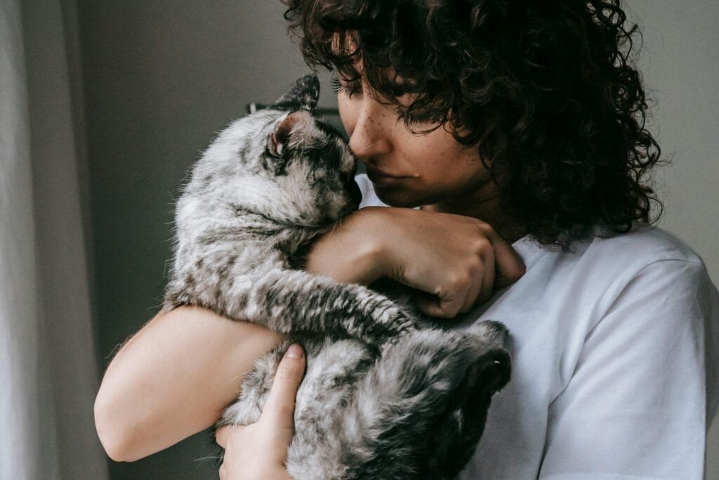 Crop calm female in white t shirt embracing adorable fluffy cat with gray fur